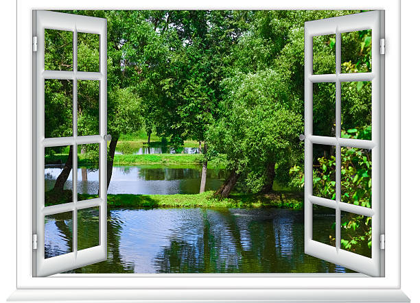 Aluminium Window and Door Series